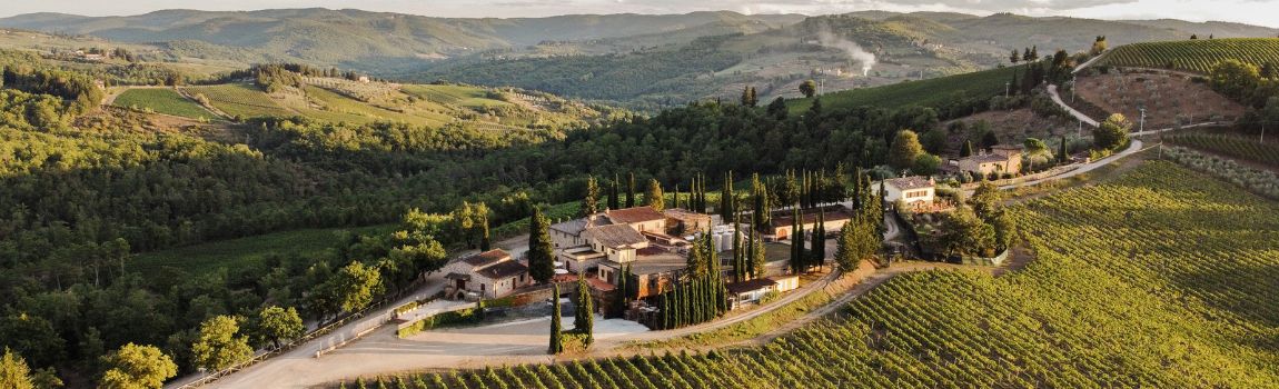 100% Sangiovese from the Heart of Chianti