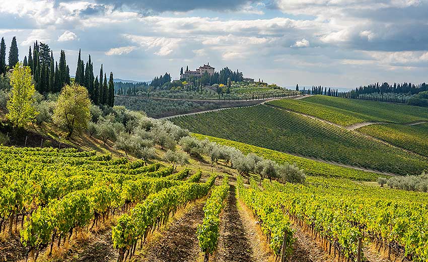 Chianti Colli Senesi with Bottle Age