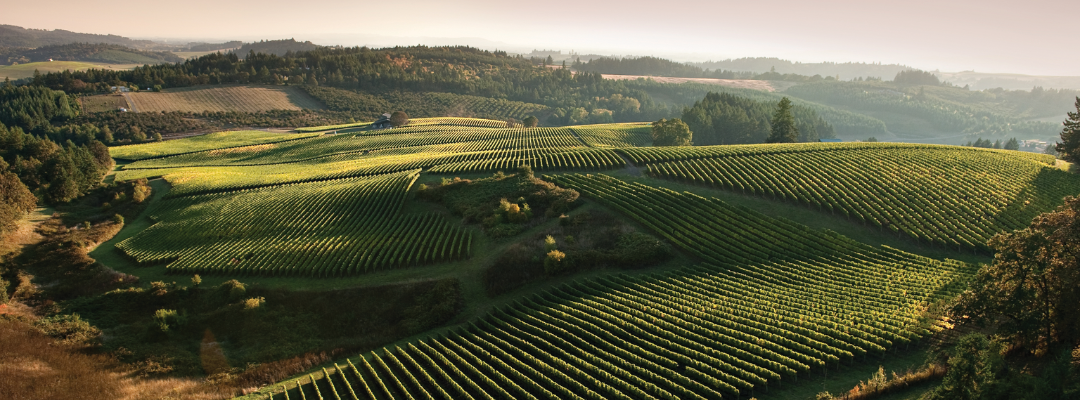 Willamette Wine Weekend