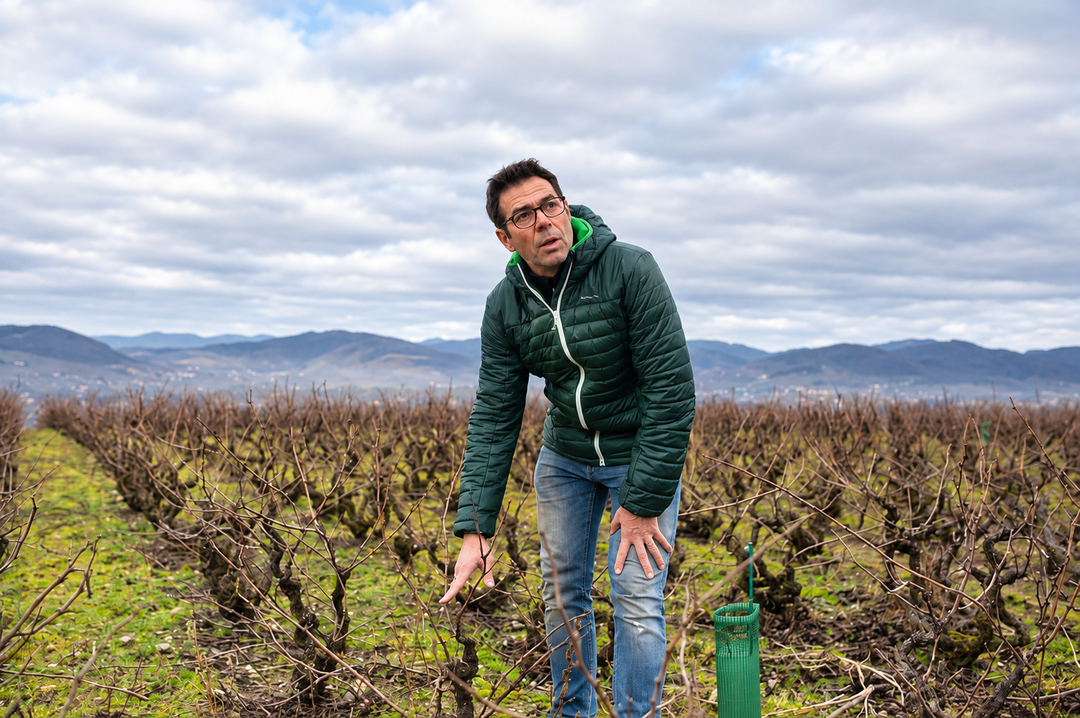 Jean-Marc Burgaud Does It Again: 93+ Points
