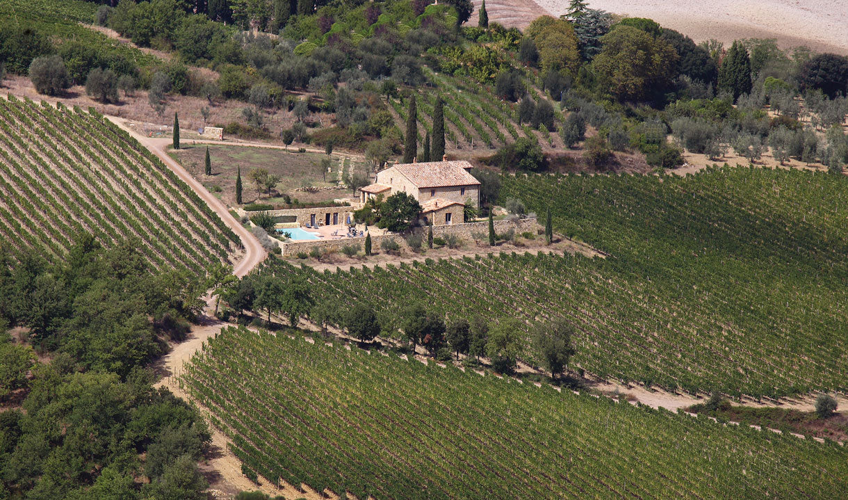 Sangiovese Grosso Without the Lecture; Caparzo Rosso di Montalcino