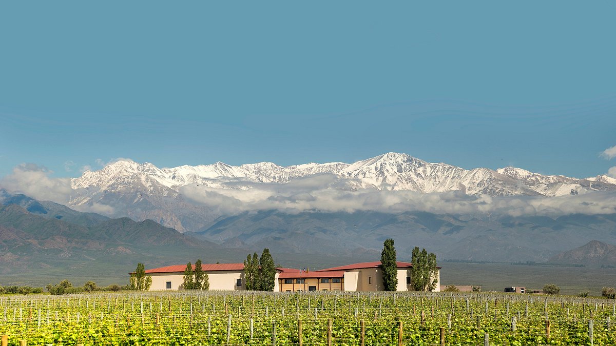 Malbec Reimagined by Léoville-Poyferré