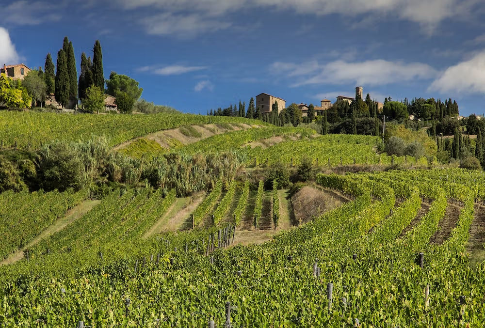 Wilson Daniels Day 2: Volpaia Chianti Classico