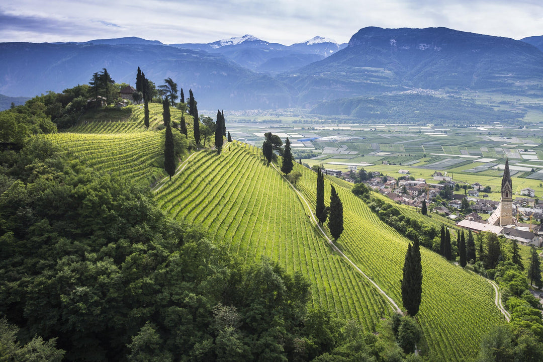 Wilson Daniels Day 3, Elena Walch of Alto Adige