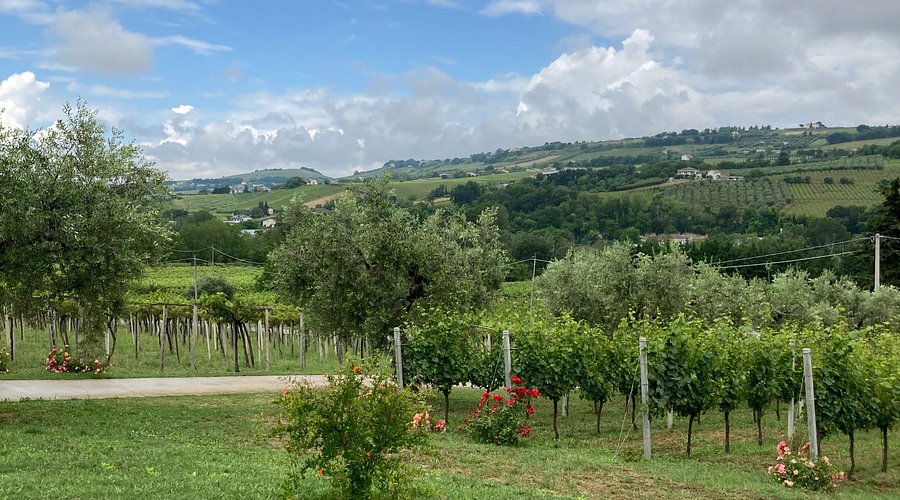 A Pure Expression of Abruzzo