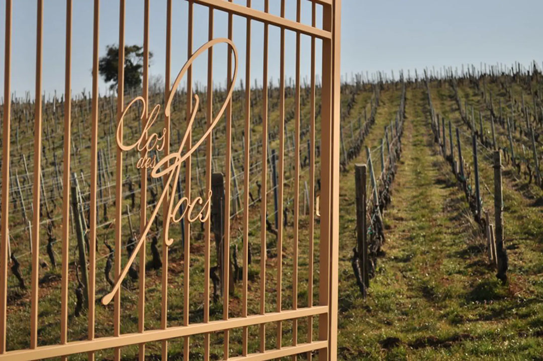 RWM Day 2, 1er Cru Clos des Rocs Pouilly-Loché