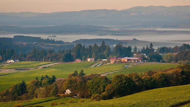 Evesham Wood; Eola Amity Classic Pinot Noir