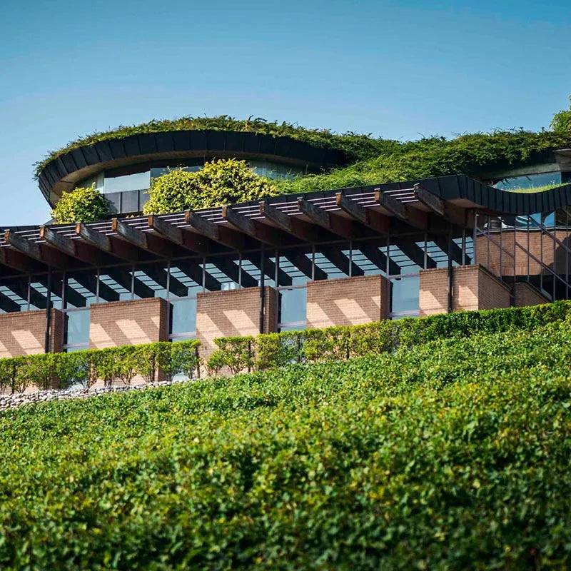 97 Point Barolo by Renato Ratti, Barolo Pioneer