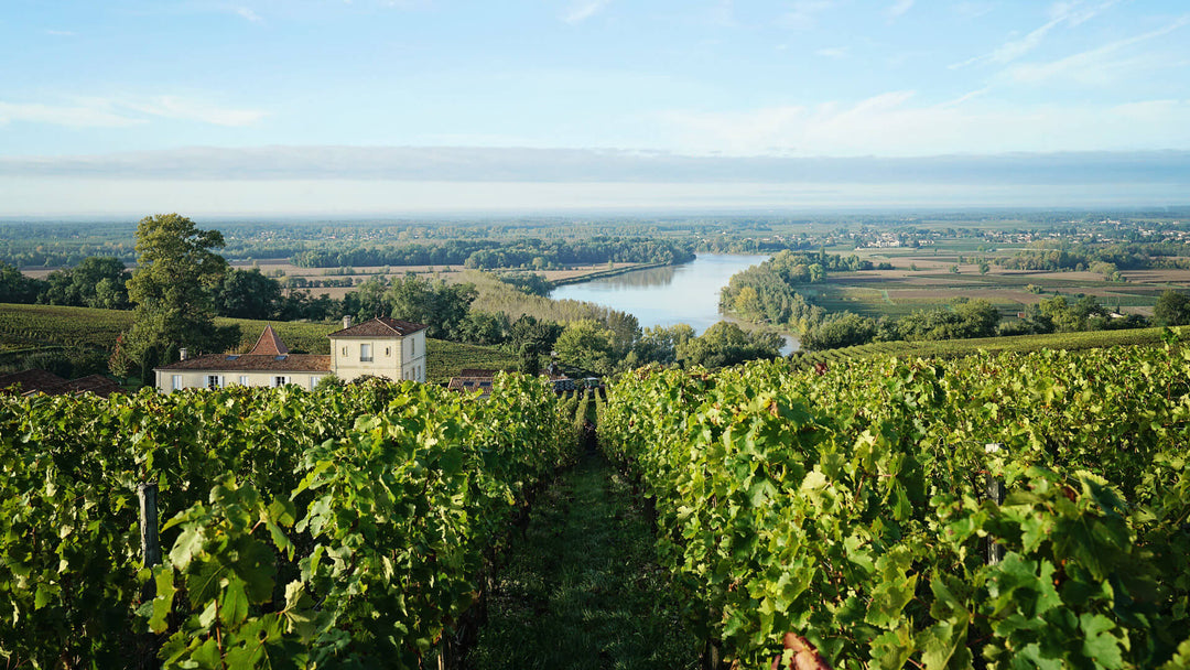 Classic Bordeaux, 2015 St. Emilion