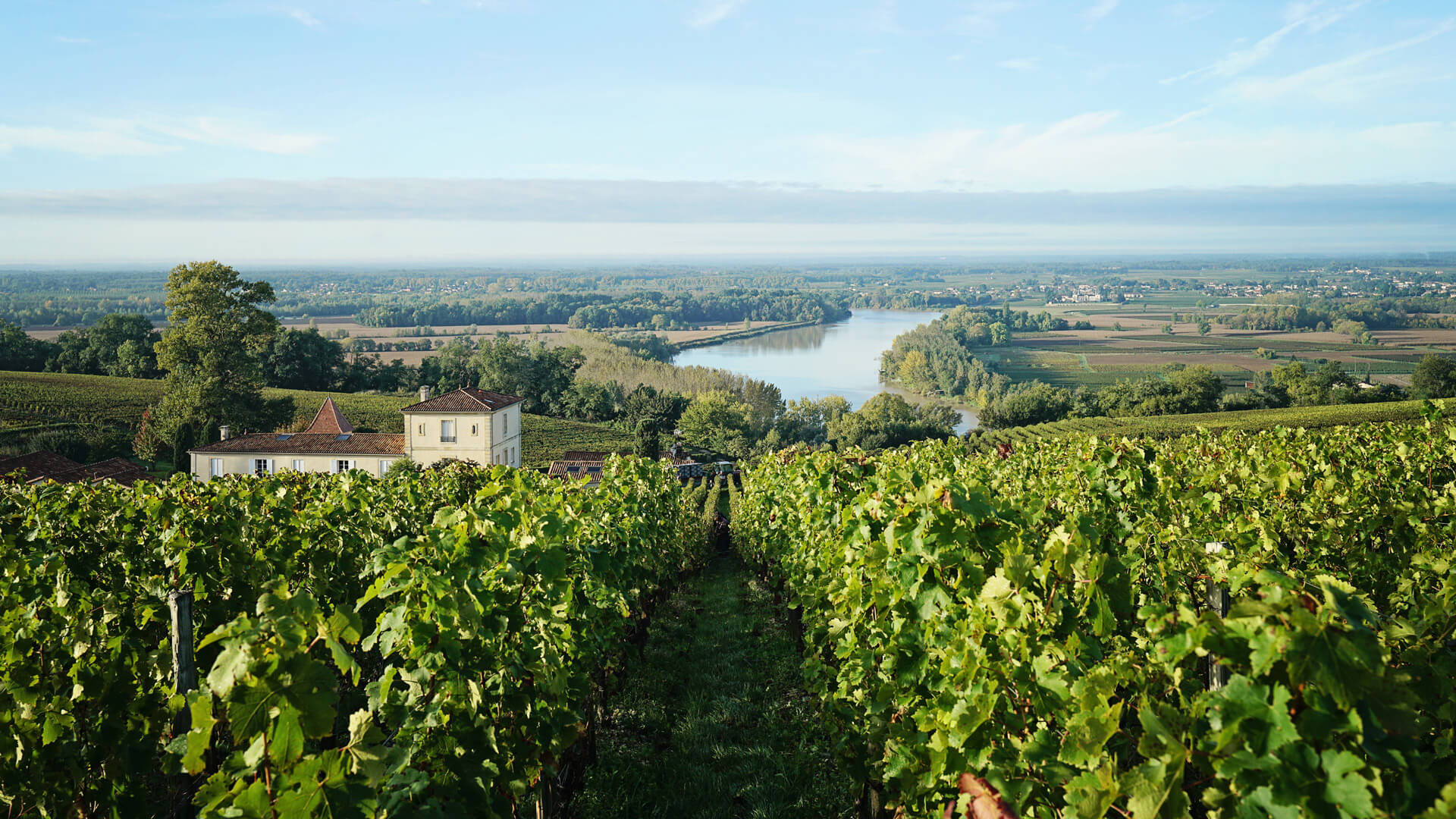 Classic Bordeaux, 2015 St. Emilion
