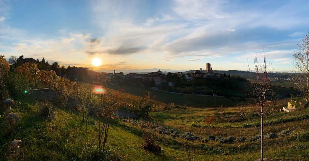 RWM Day 4, a Pivot to Italy with De Forville
