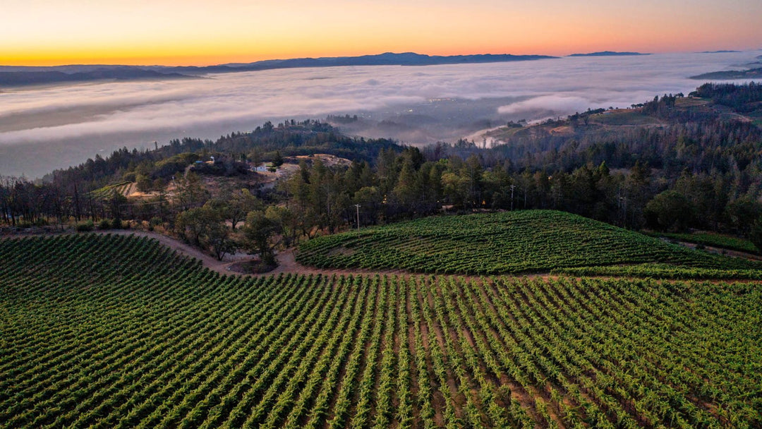 The Best Value in Spring Mountain