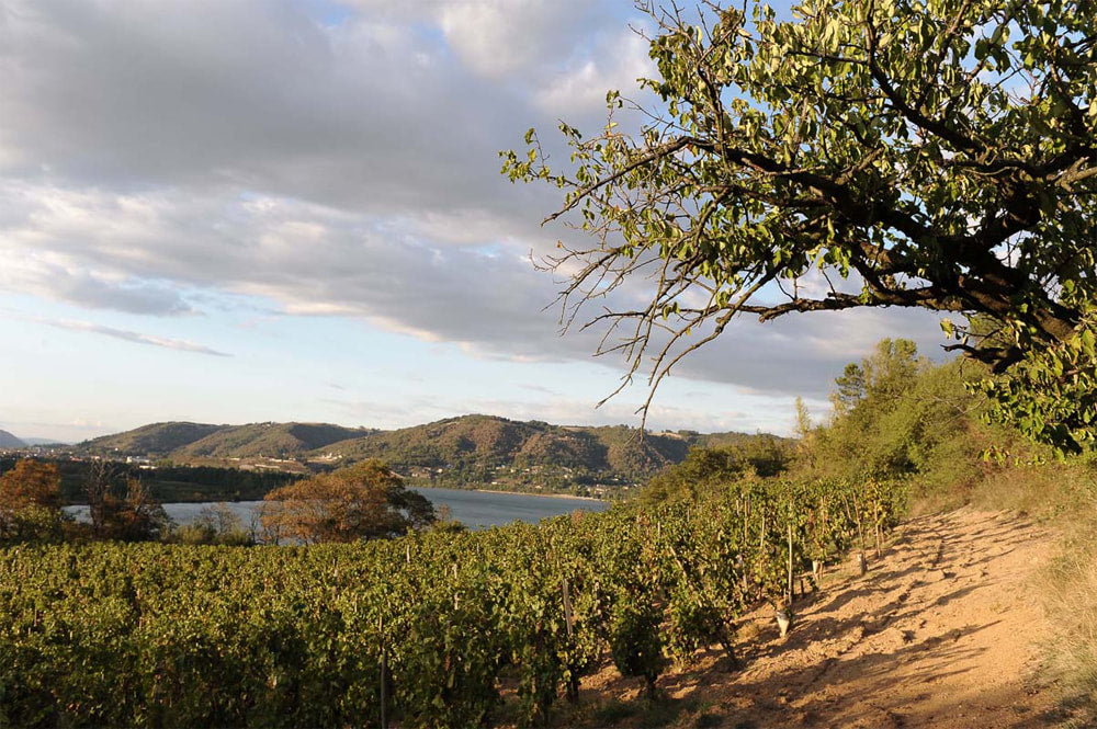 Savory Crozes from Domaine Combier