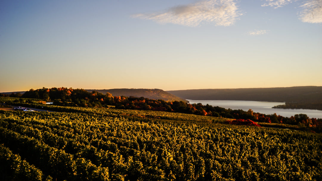 Buy Local; Finger Lakes Grüner by Dr. Frank