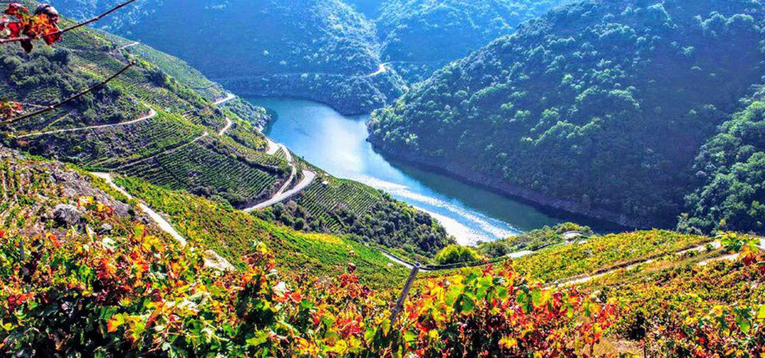 From Bierzo With Love