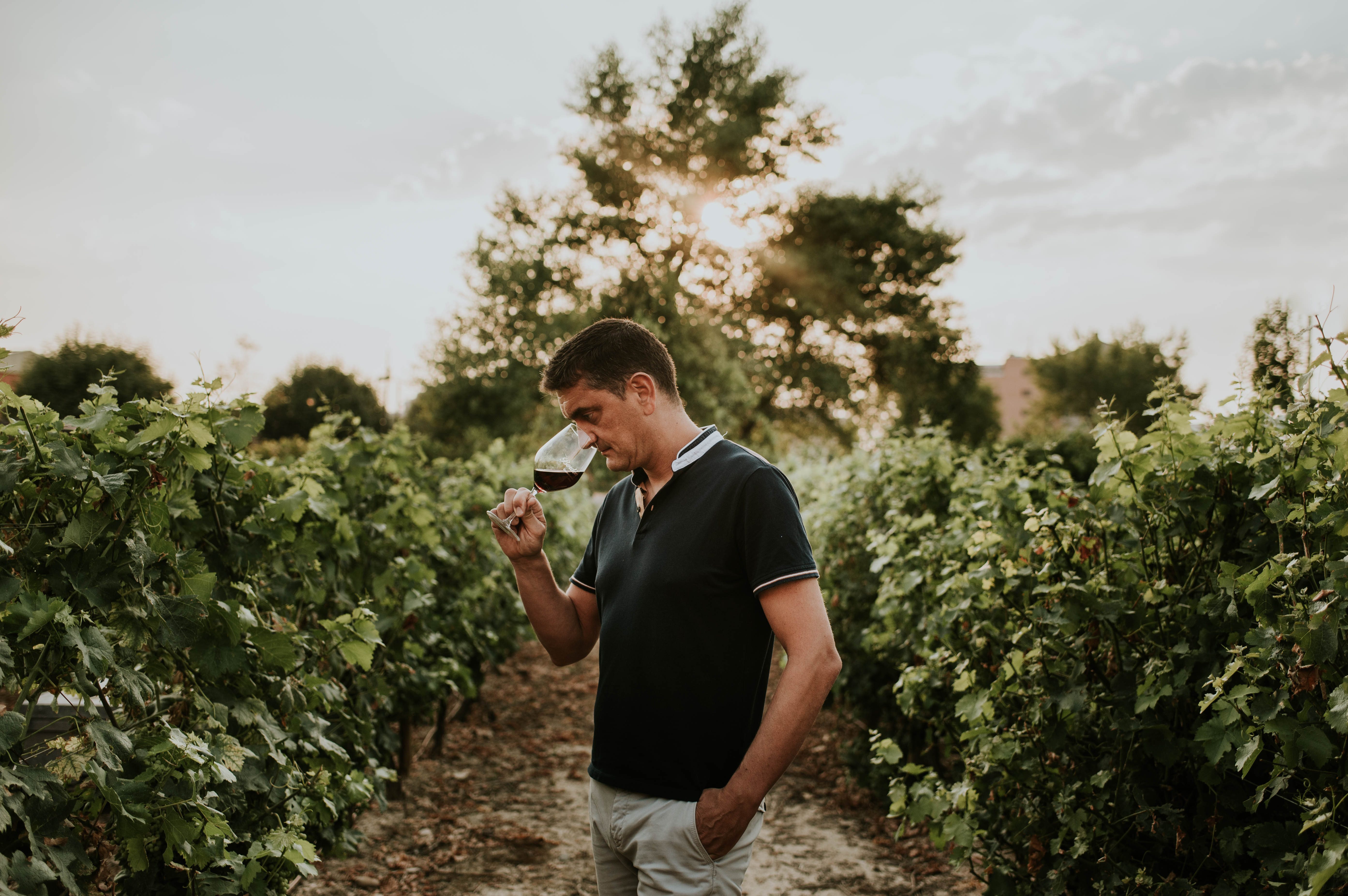 Top-Scoring Rioja Reserva Without the Price Tag