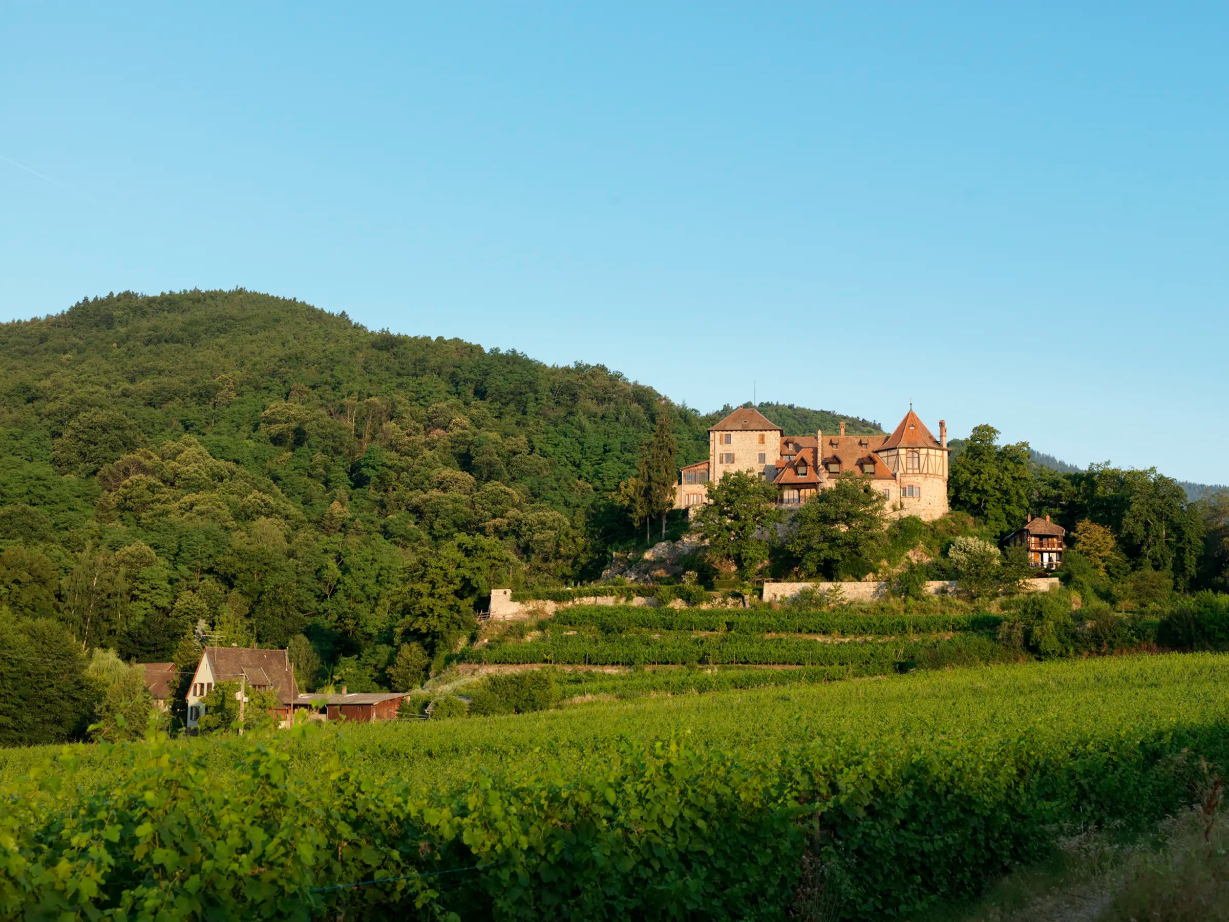 Summer Case Buy, Alsace Pinot Blanc