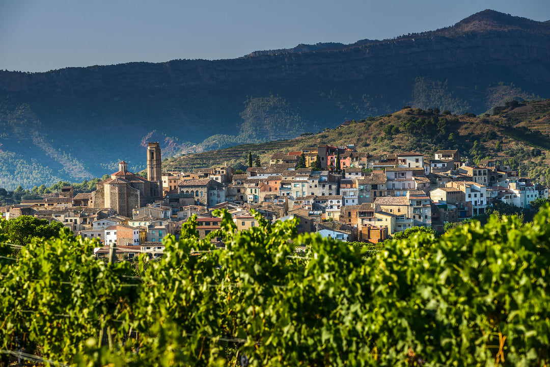 Organic, Powerful, and Uncompromising Priorat