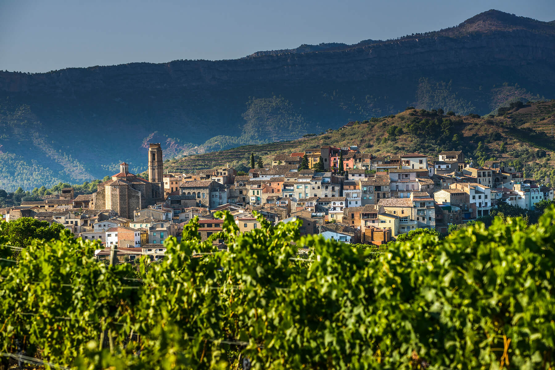 Organic, Powerful, and Uncompromising Priorat