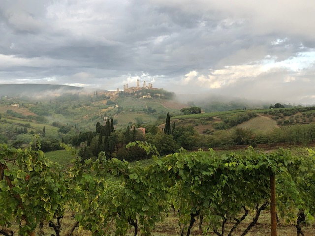 Ideal Wine & Spirits Day 2: Montenidoli Rosato