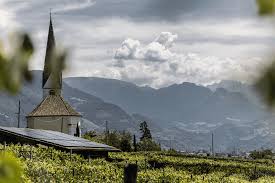Day Five: Ideal Wine & Spirits–Alpine Pinot Grigio