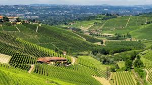 From Treiso with Love – 2022 ‘Autinbej’ Barbaresco