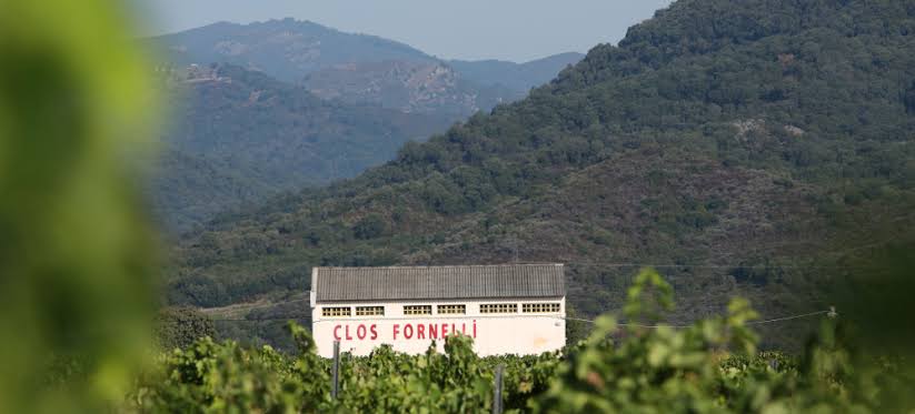A Rosé We Wait For All Year: 2025 Clos Fornelli Vin de Corse Rosé