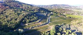 A Super Tuscan That Overdelivers
