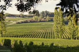 A Throwback to When Bordeaux Was a Value