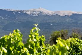 Balanced, Beautiful Ventoux