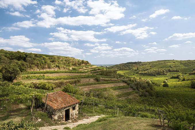 Don’t Overlook Soave; Otto by Pra is a Gem