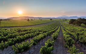 A Chef and a Winemaker Walk into a Restaurant…