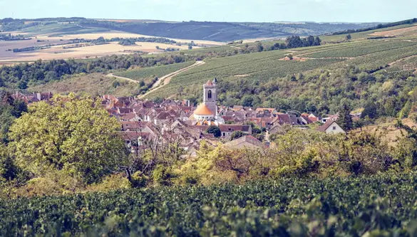 Irancy: The Burgundy Somms Keep for Themselves