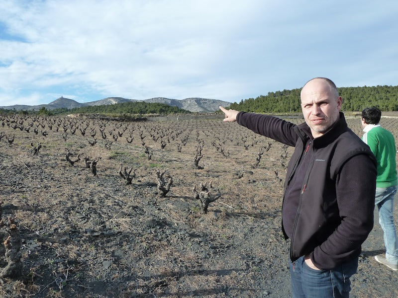 Handpicked Selections Day 3: A Pinot Noir So Good It’s Almost Rude