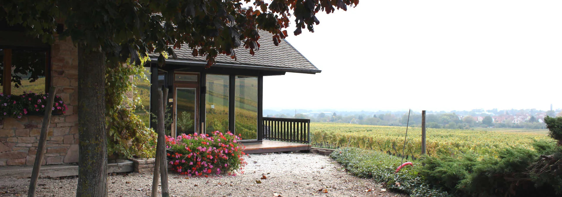 A Classic Alsace Riesling with Serious Weight