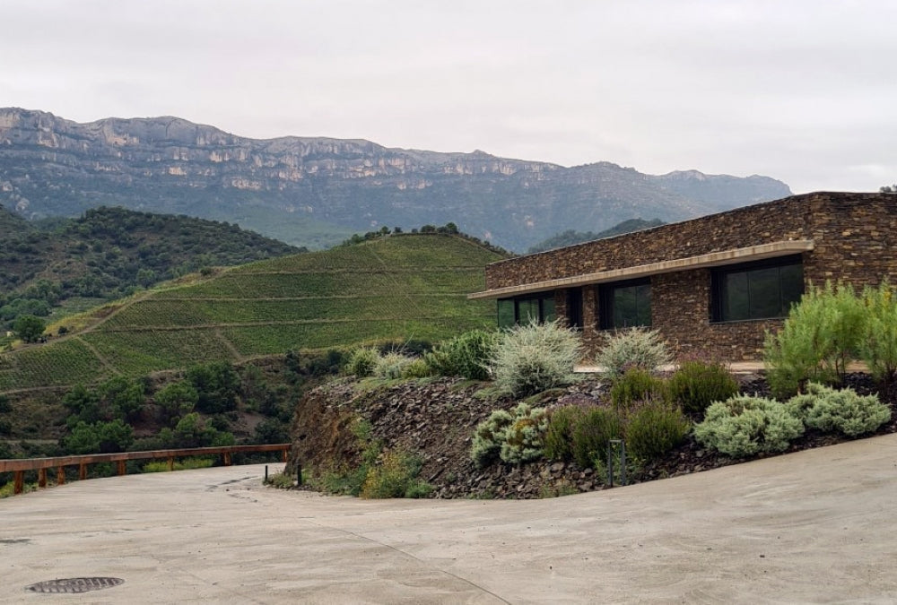 2024 Mas Doix ‘Les Crestes’ Priorat; Old Vines, Slate Soils, Outstanding Value