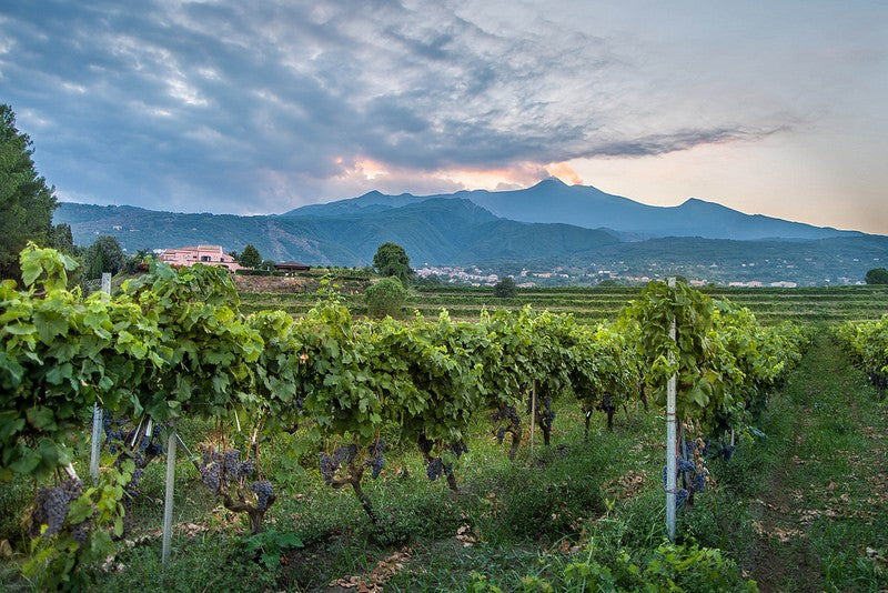 Why the Old Guard Still Matters on Mount Etna