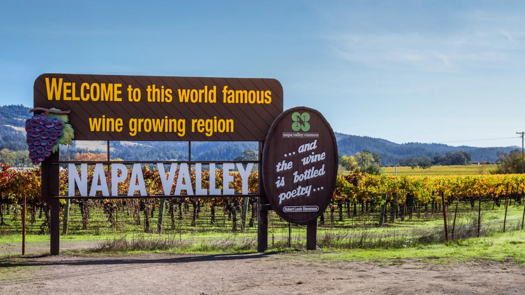 Great Value Napa Cabernet, Case Buy Alert!