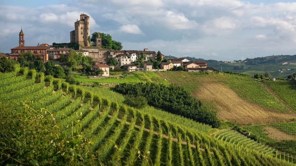 Ideal Wine & Spirits Day 3: Guidobono Nebbiolo