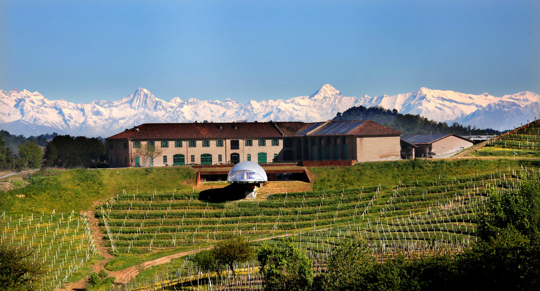 Welcome the Warm Weather with a Wine That Changed the Game