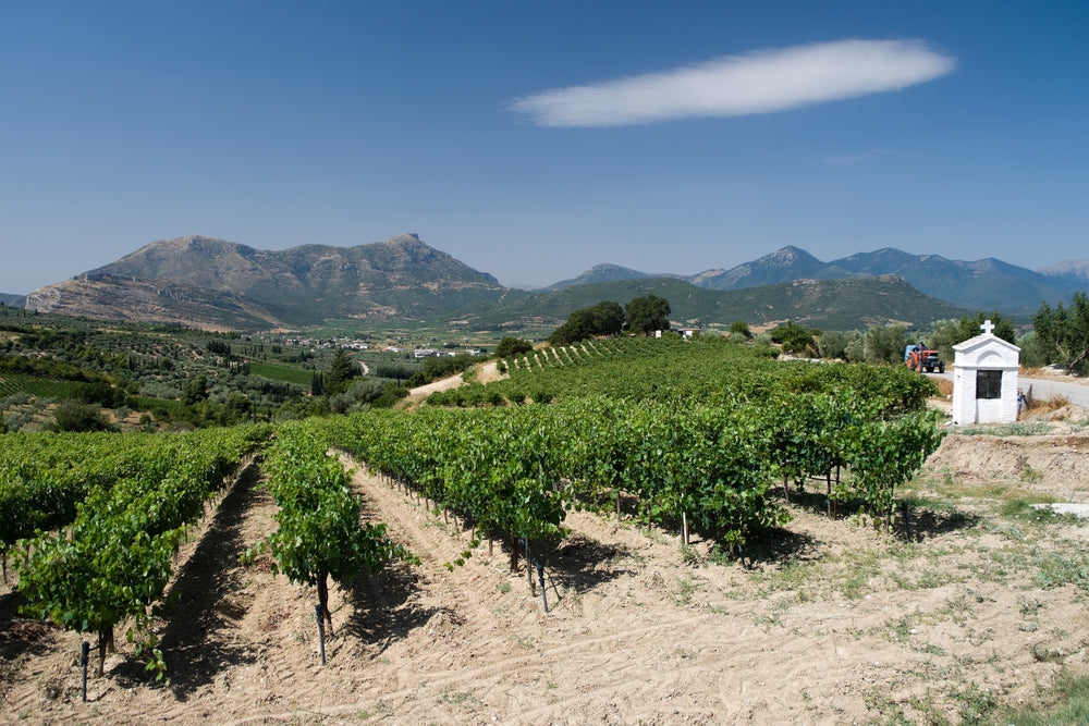 Two Sides of Greece: Crisp White & Savory Red