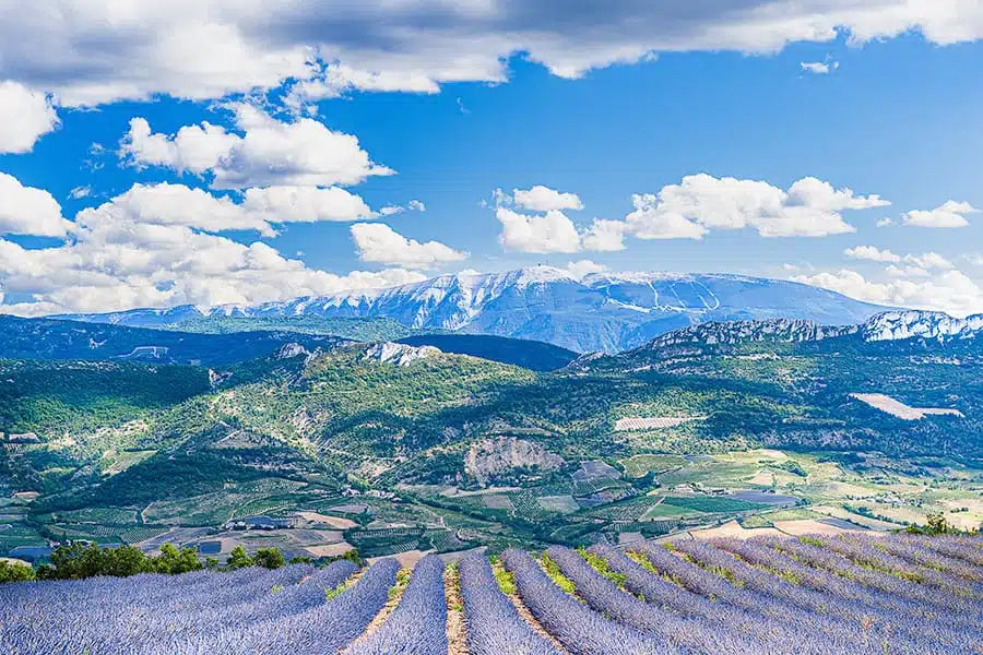 Why Ventoux Belongs on Your Rhône Radar