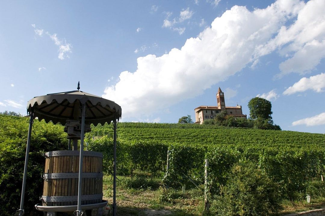 Why Wait? Oddero’s 2020 Barolo Is Already Singing