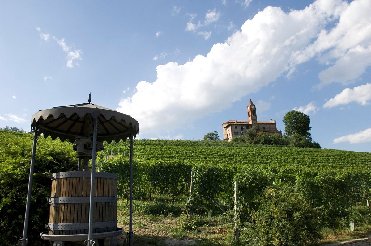 Why Wait? Oddero’s 2020 Barolo Is Already Singing