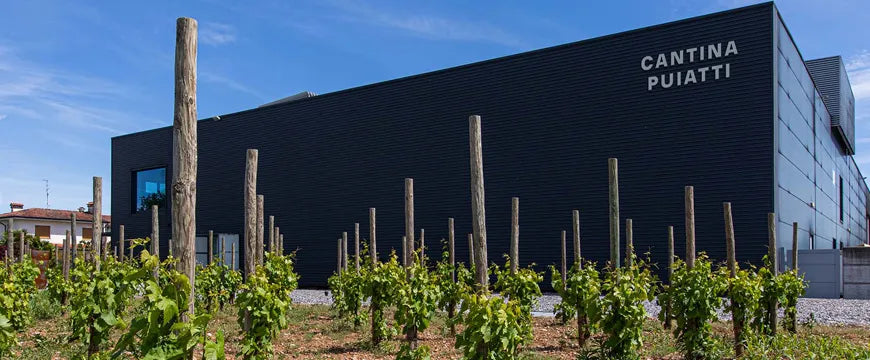 A New Chapter for Puiatti and Friuli