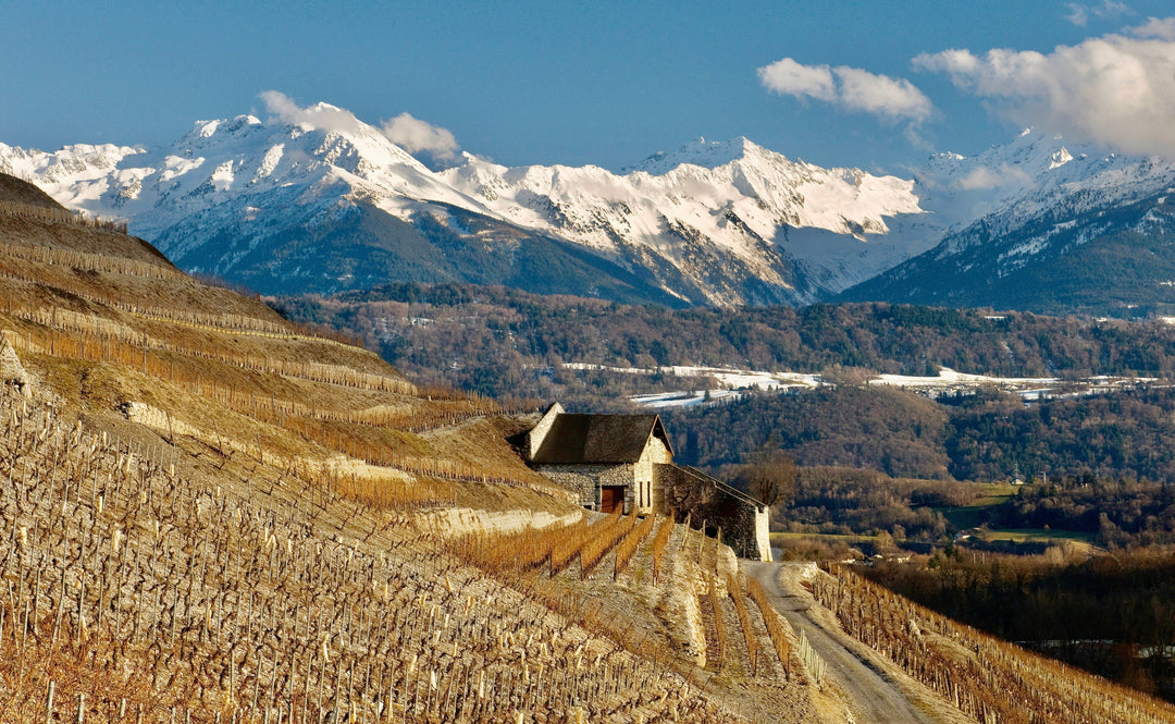 Return of a Savoie Favorite, Quenard’s Chignin Blanc