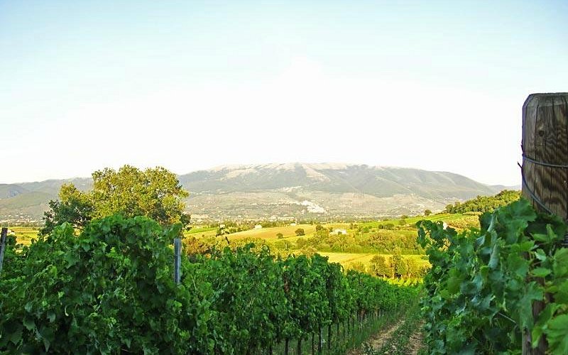 A fresher take on Umbria