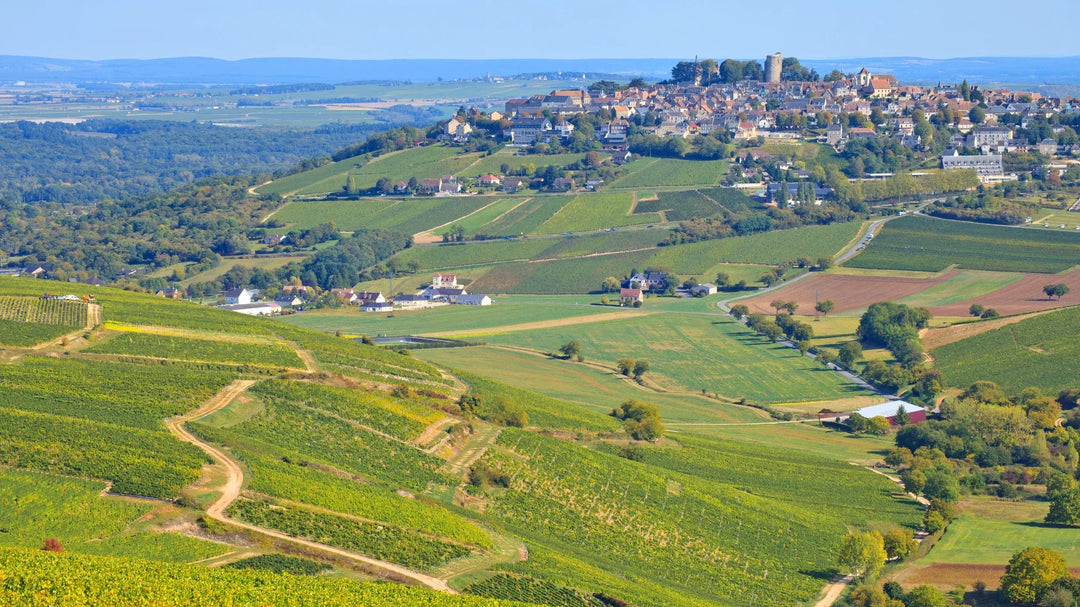 Classic Sancerre Style, Celestin Blondeau is back!