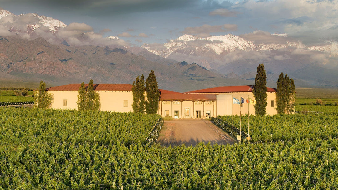 Ideal Wine Day 1: Cuvelier los Andes