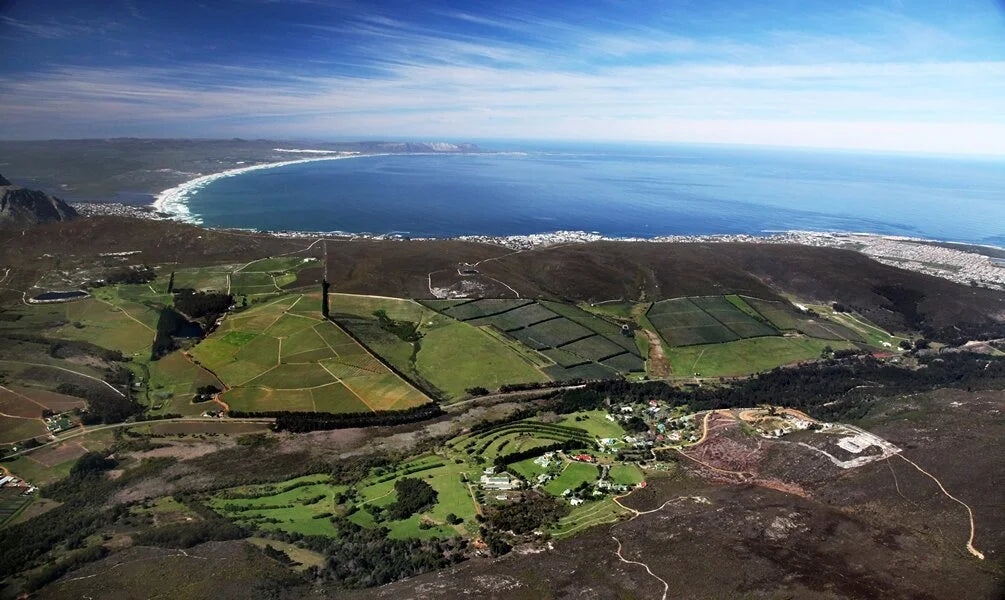 Pinotage that Tastes Good; Southern Right